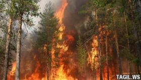 С 6 июля на территории Свердловской области немного ослабили ограничения, касаемые особого противопожарного режима